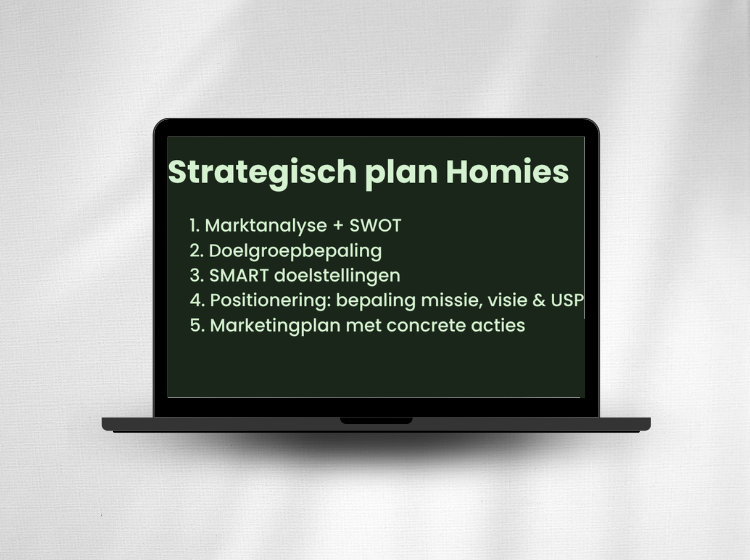 Strategisch marketingplan - Homies